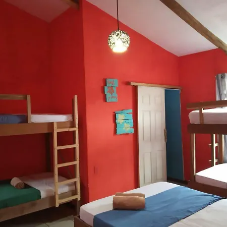 Tortuguero Adventures Beach House Exterior photo