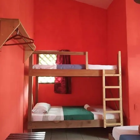 Tortuguero Adventures Beach House Exterior photo